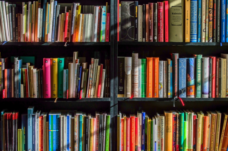 ecommerce-ST RAPHAEL-min_books_bookstore_book_reading_shop_writer_sale_books_read-822866